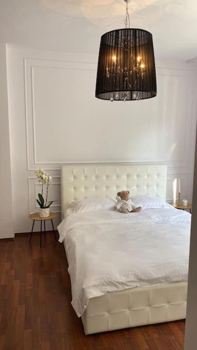 Hidden Gem Apartment In The Center Of The City Brașov Exterior foto
